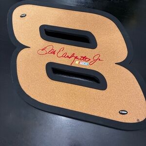 NASCAR Dale Earnhardt Jr Push Pin Board